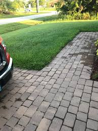 We are very sorry that the scotts lawn fungus control did not control dollar spot as expected. 33 Scotts Disease Ex Label Labels Design Ideas 2020