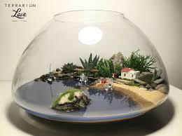 Mahmut Kirnik 2827 Minyatur Bahceler Teraryumlar Terrarium