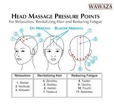 Japanese Five Row Tsuge Wood Brush Head Massage Techniques Massage Therapy Techniques Massage Pressure Points