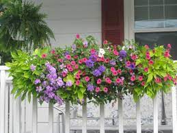 Unlike a container planter on the porch or a hanging basket, a window box is an extension of your home, an accessory that marries living plant material to your architecture. 30 Beautiful Cascading Planter Ideas That Will Enhance Your Backyard Home Window Box Flowers Window Box Plants Planter Boxes Flowers