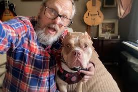 Can I introduce you “ROCCO” a cute Frenchie in the neighbourhood.  Monza_Italy