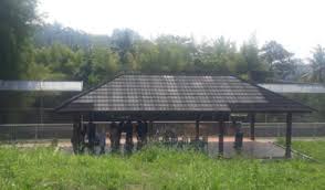 Ramalan shio macan tahun 2020 menyatakan bahwa bintang anda akan kembali bersinar, setelah ditutupi awan gelap disepanjang tahun lalu. Intip Kandang Harimau Lembah Hijau Lampung Berasa Di Singapore Zoo Lho Tepercaya Beritanya