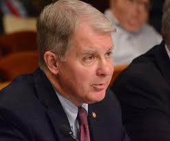 Argall report focuses