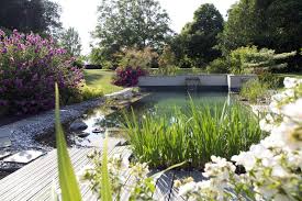 Piscine Naturelle Tout Savoir Avant De Choisir Une Baignade Biologique