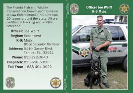 Officer Joe Wolff And K 9 Mojo Make A Great Team Most Days They Can Be Found Sniffing Out Evidence In Fwc Florida Fish Conservation Black Labrador Retriever