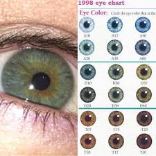 which number is my eye iris eye eyes iris