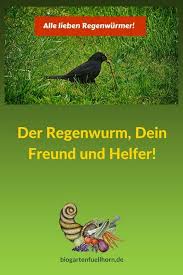 Der Regenwurm Dein Freund Und Helfer Biogarten Fullhorn Regenwurm Wurm Gartenhelfer