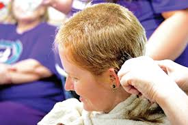 The Polk County Pulse