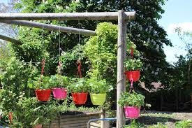 Der praxisnahe ratgeber für garten, balkon und zimmerpflanzen. Roswitha Schemm Im Mdr Garten Zehelein Schemm