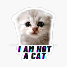 492 x 480 jpeg 28 кб. Lawyer Cat 2021 Gifts Merchandise Redbubble