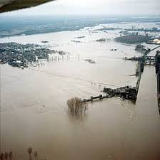 Danny pouwels (@dannypouwels) heeft een korte video gemaakt op tiktok met muziek oh no. Overstroming Van De Maas 1993 Wikipedia