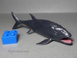 They were initially discovered when alfred nicholson leeds discovered a lot of different fish fossils in his loam pits during the 1880s. Leedsichthys Toyanimalwiki