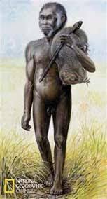 Hasil Gambar Untuk Meganthropus Paleojavanicus Gambar
