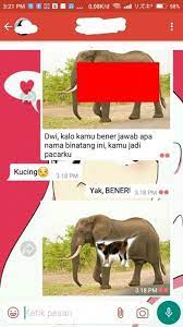 Check spelling or type a new query. 10 Gombalan Lucu Pakai Tebak Tebakan Hewan Ini Bikin Ketawa