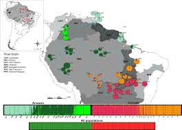 Image result for Chironia flexuosa