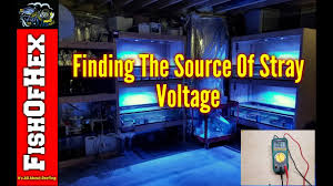 Maybe you would like to learn more about one of these? How I Found The Source Of Stray Voltage In My Frag Tank Youtube
