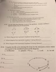 We did not find results for: 13 The Difference In Mitosis In Animal Cells And Chegg Com