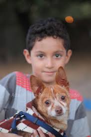 Scooby, Cookie, and Gonzo wish you lots of luck this weekend! Links to  their adoption info will be in the comments!