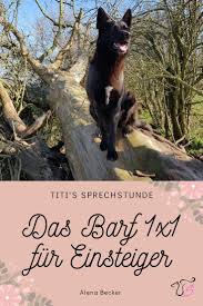 Das Barf 1x1 Fur Einsteiger In 2020 Hunde Ernahrung Hundeernahrung Gesundheit