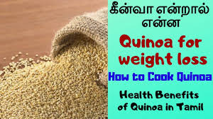 க ன வ என ற ல என ன Quinoa For Weight Loss How To Cook Quinoa Health Benefits Of Quinoa Youtube
