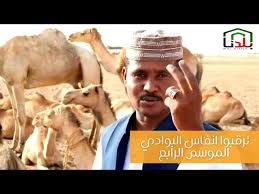 We did not find results for: ØªØ­Ù…ÙŠÙ„ Ø§Ù„Ø´Ø§Ø¹Ø±Ø£Ø­Ù…Ø¯Ø¹Ø«Ù…Ø§Ù† Ø®Ø¶Ø±Ø§Ù„Ø¬Ø±Ø£Ø±ÙŠ2020 OÂªou Usu O U O O O O O Ou O O O U O U O O O O U O O O O Us2020 Juegos Online Para Ninos De Primero De Primaria Juegos De Sumas Y Restas Quieres Aprender A Sumar Y U O OÂªo U Us Oo O Usu U O UÆ' O U UË† U O U Us
