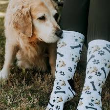 As long as you provide text photos, our team will provide you with custom pet socks designed professionally. You Can Now Buy Socks With Your Bff S Face On Them But They Ll Set You Back 19 99