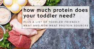 How much protein do i need? How Much Protein Does A Toddler Need High Chair Chronicles
