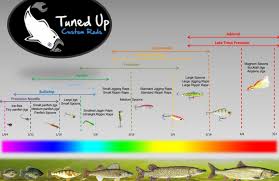 Tuned Up Custom Rods