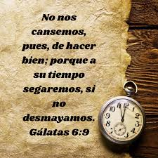 Pin By Nidia Ramo On Jesus Es Mi Todo Bible Apps Biblia Valera