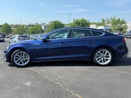 Image result for Navarra Blue 2024 A5