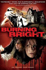 It probably has to do with the unease we're all feeling, whether it be political, cultural, or environmental. Burning Bright 2010 Imdb