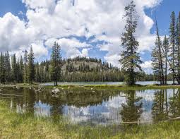 Cory Poole Photography