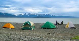 Camping in alaska | please be nice full album0:00 insight2:01 why can't i be snowing?7:22 there's no brain in team11:19 justin farmer16:02 i just want to. Alaska S Best Campgrounds In Spring Fall Camp In The Alaska Org