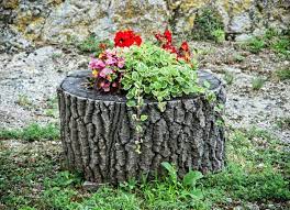 Maybe you would like to learn more about one of these? Tree Stump Ideas That Will Blow You Away Bob Vila
