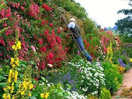 English Garden Tours Enjoy The Beautiful Countryide Of Britain English Garden Garden Tours British Garden