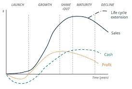Business development is a process that helps your company establish and maintain relationships with prospects, learn about your buyer's personas, increase brand awareness, and seek new opportunities to promote growth. Business Life Cycle Understanding The 5 Different Stages