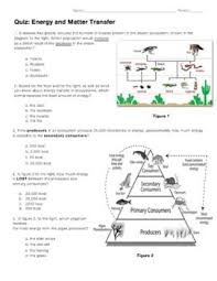 Quiz Energy And Matter Transfer In Ecosystems By Biology Boss Teachers Pay Teachers Biology Lessons Ecosystems Biology Classroom