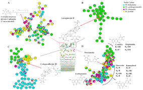 Image result for Momordica cardiospermoides