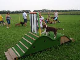 Hundesporttrainingszentrum Leopoldsdorf Welpentraining Dog Training Equipment Dog Playground Dog Potty Training