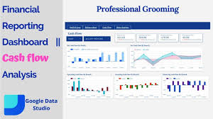 Cash Flow Analysis Dashboard Google Data Studio Financial Reporting In 2020 Cash Flow Statement Cash Flow Financial