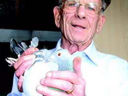 Charville Dan shows he is no featherbrain