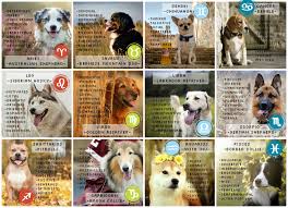 Pin By Finel Found On China Zodiac Signs Animals Dog Zodiac Zodiac Signs Aquarius