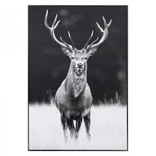 Black And White Deer Canvas Meadow Deer Neutral Framed Canvas Black Oz Design Furniture 295 Liked On Polyvore Featuri Canvas Frame Framed Canvas Wall Art Black Framed Wall Art