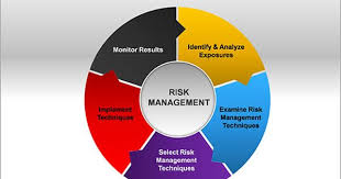 Risk Management Ppt Diagrams Chart Risk Management Management Diagram Chart