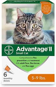Amazon Com Advantage Ii Flea Prevention For Small Cats 6 Dose Small Cat Flea Prevention 5 9 Pounds Pet Flea Drops Pet Supplies