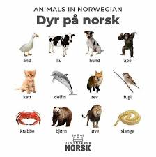 Animals Norway Language Norwegian Norway