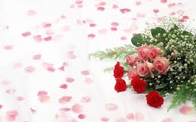 Here are only the best red rose wallpapers. Free Download Red Roses With White Backgrounds 1600x1000 For Your Desktop Mobile Tablet Explore 43 Red Roses With White Background Red Roses With White Background White Wallpaper With Pink