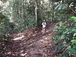 Maybe you would like to learn more about one of these? Jungle Hiking In Kuala Lumpur Bukit Kiara Trail Guide Travel Mermaid