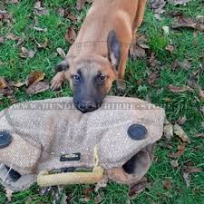 Mutter und welpen sind wohlauf. Hundesport Beisskeil Aus Jute Mit 3 Griffen Fur Malinois Welpe 79 3