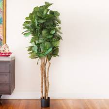 Amazon Com Nearly Natural 6ft Fiddle Leaf Fig Artificial Trees 72in Green Home Kitchen